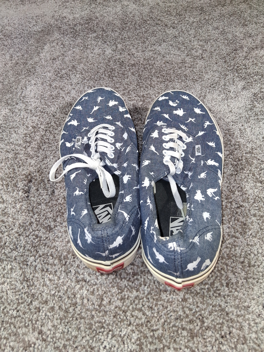 Vans Mens Navy Dinosaur Print Lace-Up Sneakers